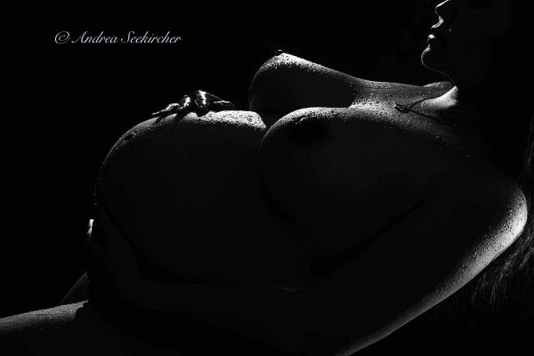 schwangerschaftsfotos babybauch fotoshooting